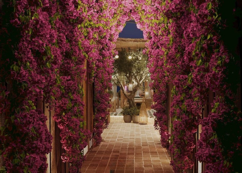 Lối đi hoa giấy rực rỡ tại khu nghỉ dưỡng (Nguồn: Pinterest)