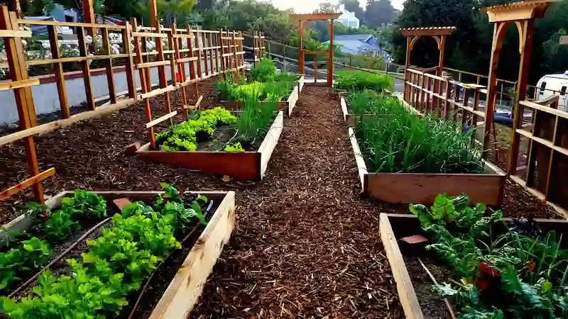 Sân vườn sau nhà kết hợp vườn rau sạch (Nguồn: Pinterest) Sân vườn sau nhà kết hợp vườn rau sạch (Nguồn: Pinterest)