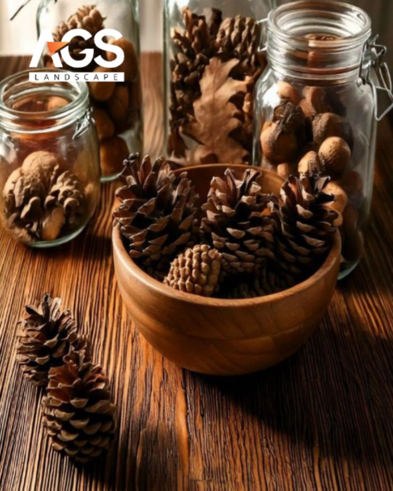 Quả thông khô, cành cây khô (Nguồn: Pinterest)