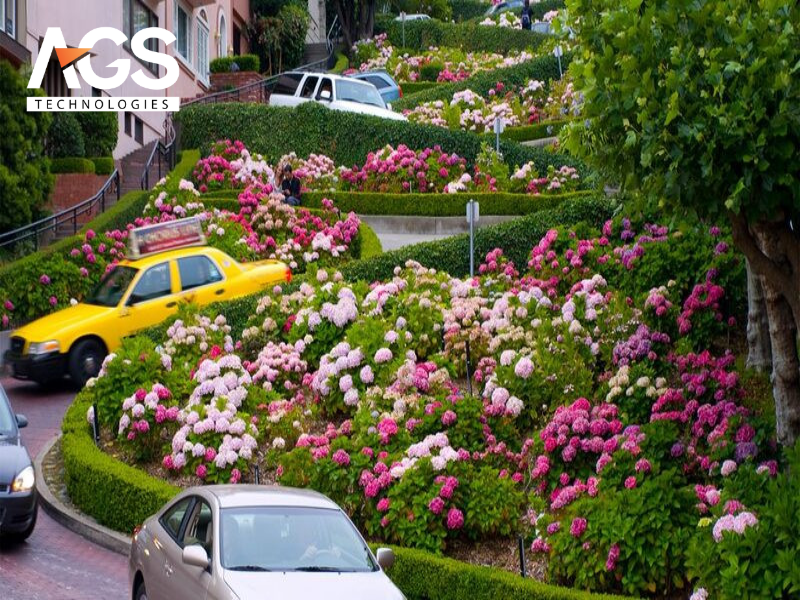 Các yếu tố then chốt để mô hình con đường hoa thành công