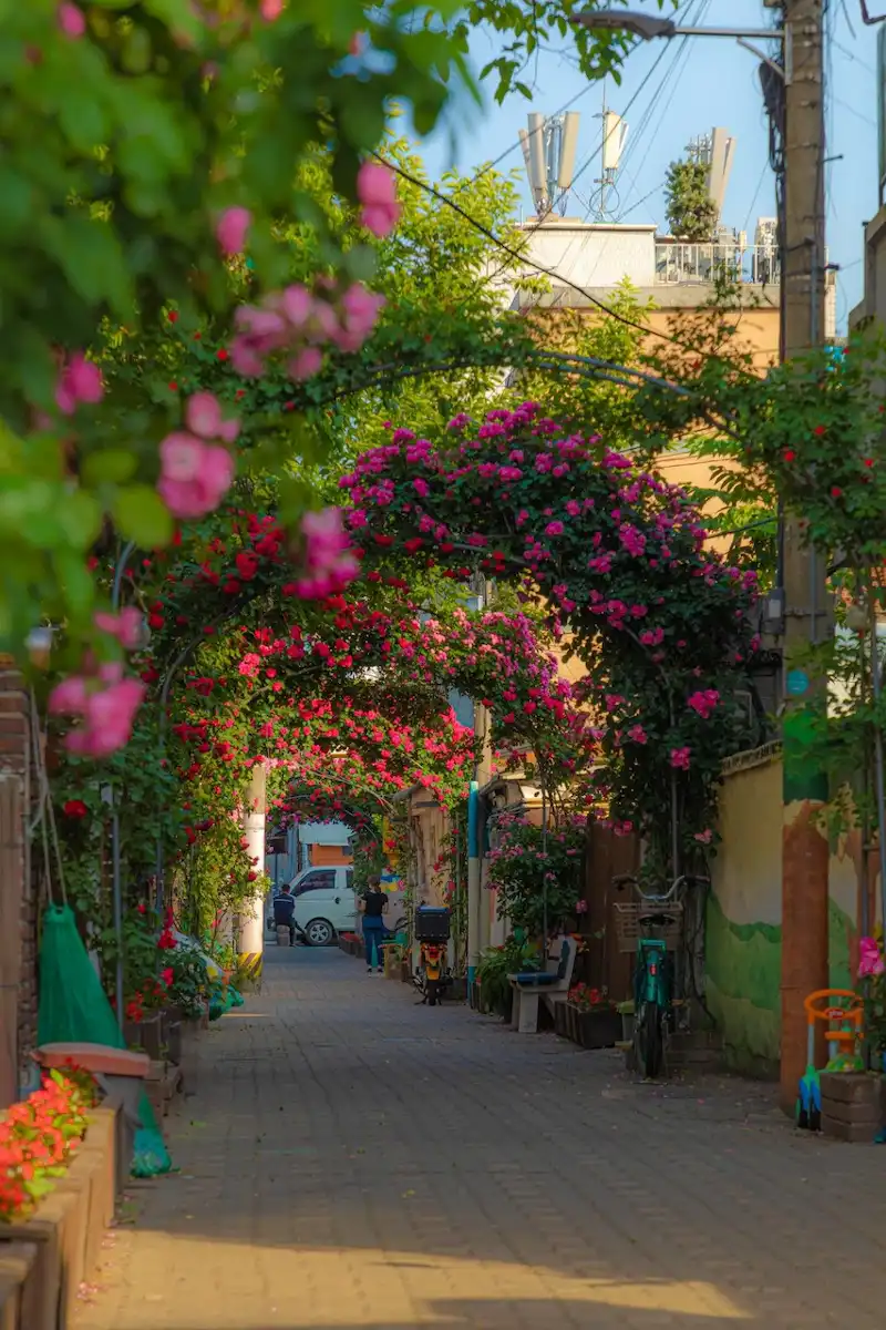 Hạng mục cảnh quan công cộng Hạng mục cảnh quan công cộng