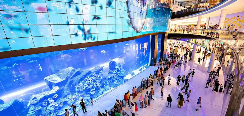 Bể cá khổng lồ ở sảnh Dubai Mall (Nguồn ảnh: Internet)