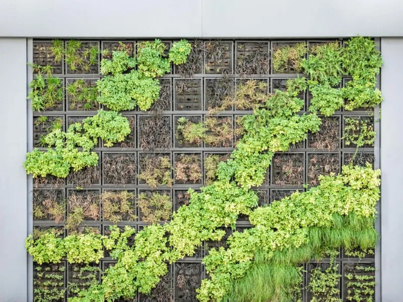 Vườn thẳng đứng là một phương pháp độc đáo trong thiết kế cảnh quan (Nguồn: Pinterest)