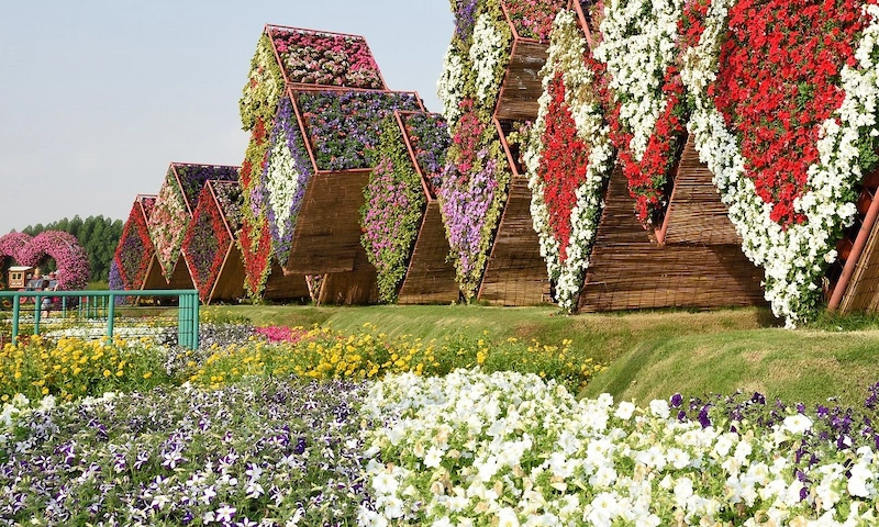 Ngôn ngữ của những khối hình trong nghệ thuật sắp đặt đường hoa đương đại (Nguồn: Yandex)