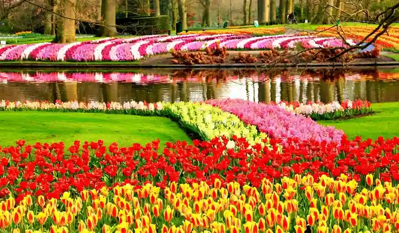 các đường hoa nổi tiếng thế giới các đường hoa nổi tiếng thế giới