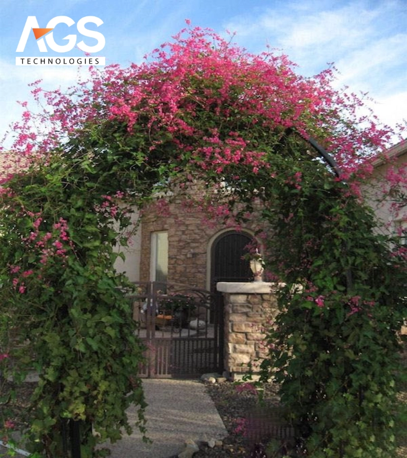 Đường hoa cây leo bản địa và gần gũi thiên nhiên (Nguồn: Pinterest)