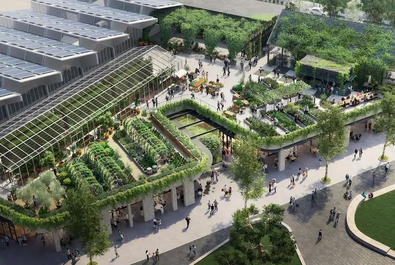 Vườn trên mái (Rooftop Garden) (Nguồn ảnh: Internet)