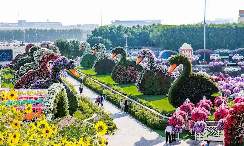 thiết kế đường hoa trong công viên thiết kế đường hoa trong công viên