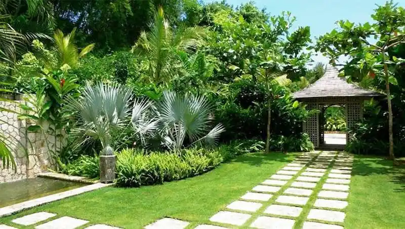 Cây xanh (Softscape) (Nguồn ảnh: Internet)