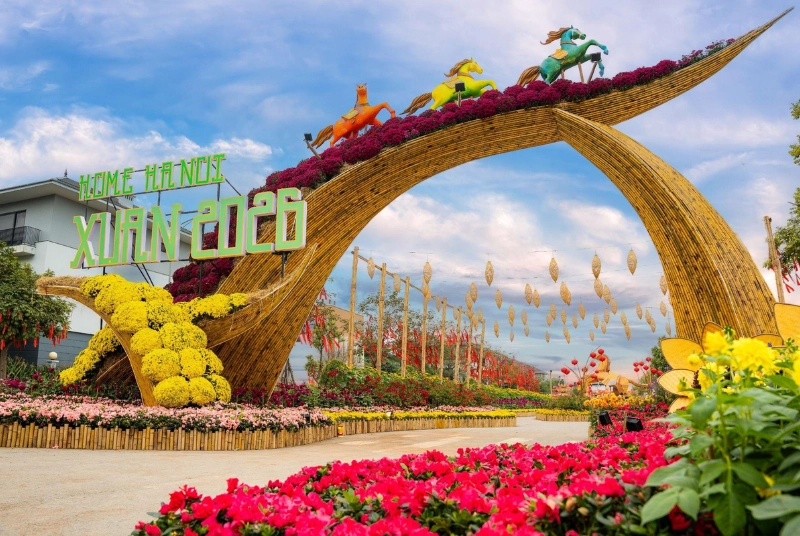 Giải mã Đường hoa Home Hanoi Xuan 2026: Tọa độ du xuân mới đang được giới trẻ Hà Nội rủ nhau check-in