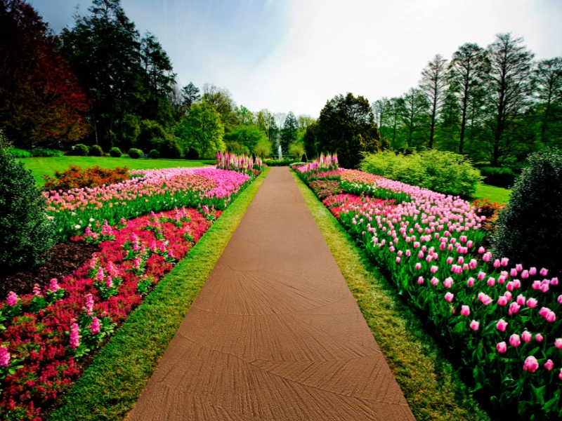 Năng lực thực thi chuyên nghiệp từ bản vẽ đến triển khai công trình của AGS Landscape (Nguồn: Yandex) 