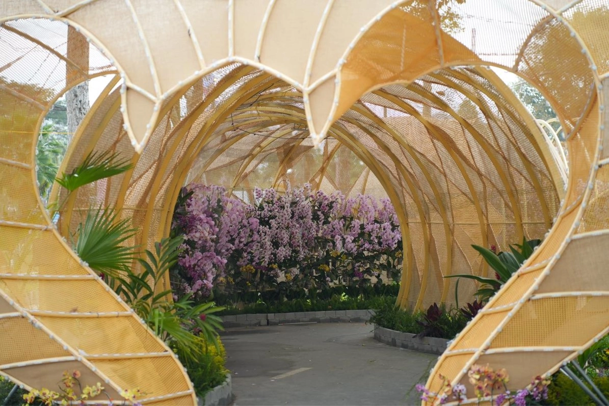 Đường hoa Xuân tấp nập khách check in ở Đồng Tháp