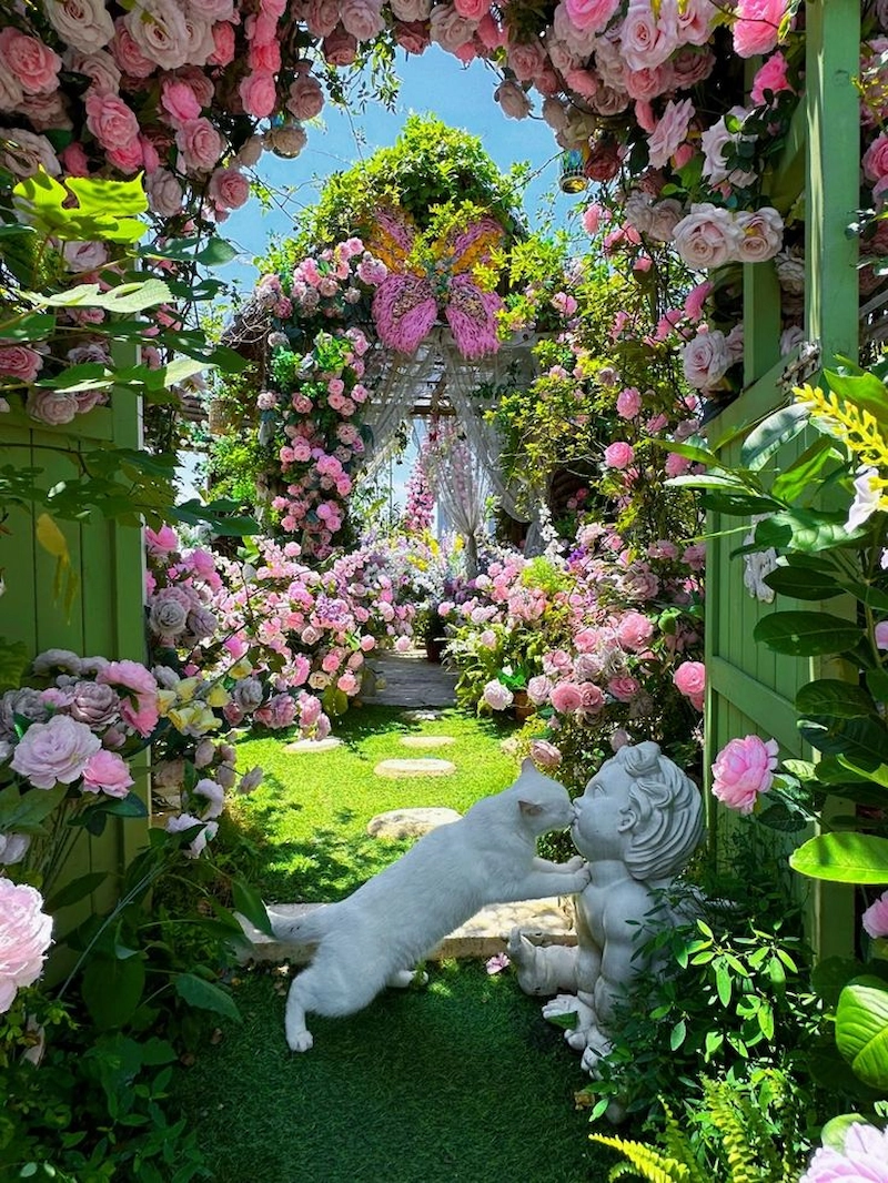 Cách chăm sóc và duy trì cho khu vườn hồng vĩnh cửu (Nguồn: Pinterest)