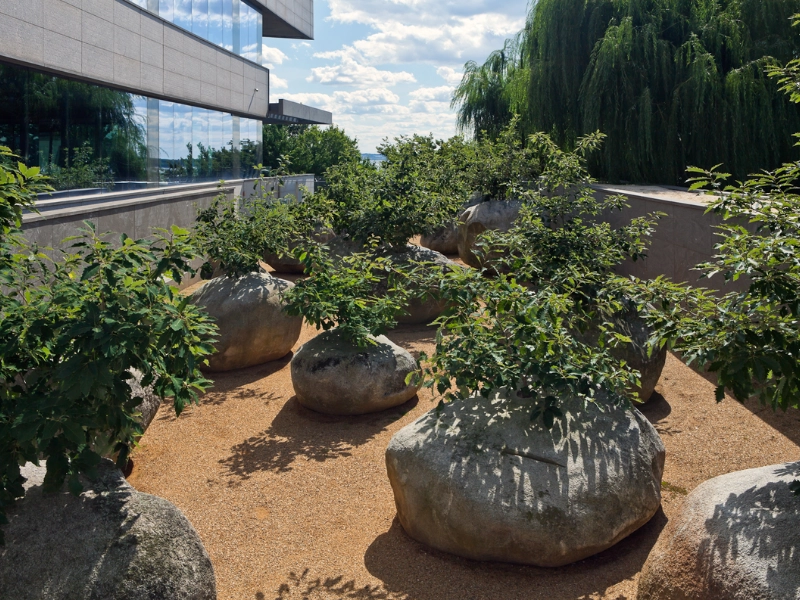 Garden of Stones by Andy Goldsworthy (Nguồn: Museum of Jewish Heritage)