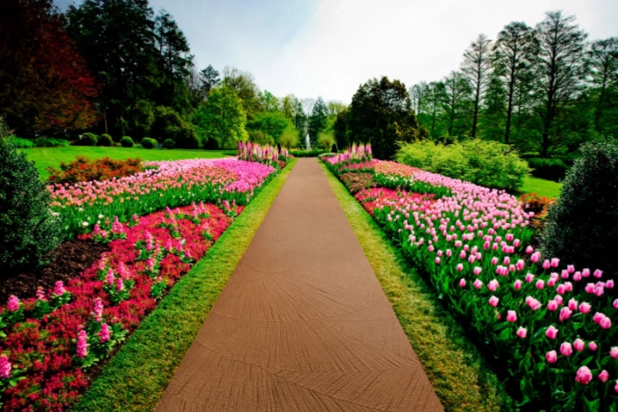 Thiết Kế Đường Hoa Tulip: Nghệ Thuật Kiến Tạo Không Gian Đẳng Cấp