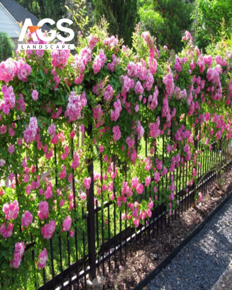 Kết hợp yếu tố thiên nhiên và cây xanh (Nguồn: AGS Landscape)