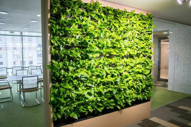 thiết kế vườn tường