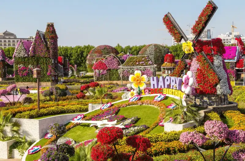 hoa trang trí đường phố