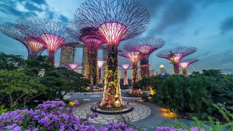 Singapore - Gardens by the Bay (Nguồn: Internet)
