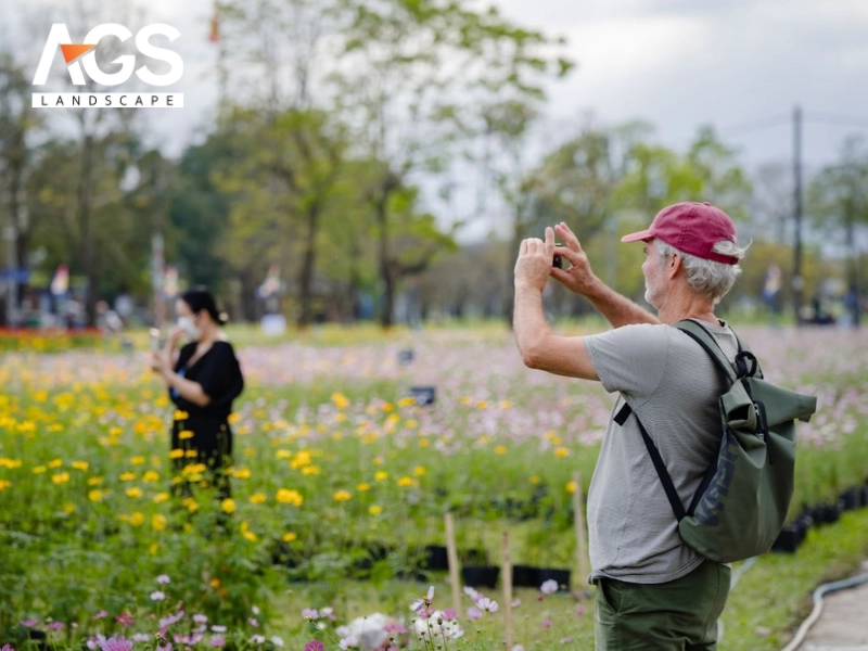 Tác động và sức hút của Tết Phú Xuân 2026