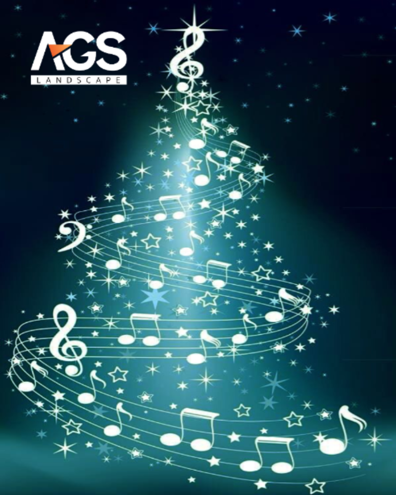 Phát nhạc Giáng sinh tạo không gian ấm cúng (Nguồn: Pinterest)