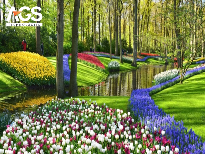 Lợi ích vượt trội của đường hoa ven sông đối với cộng đồng và môi trường