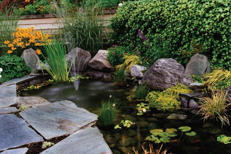 thi công hòn non bộ