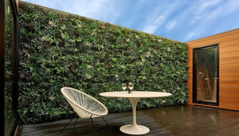 Lựa chọn loại cây trồng tối ưu cho vườn tường đứng (Nguồn: Yandex)