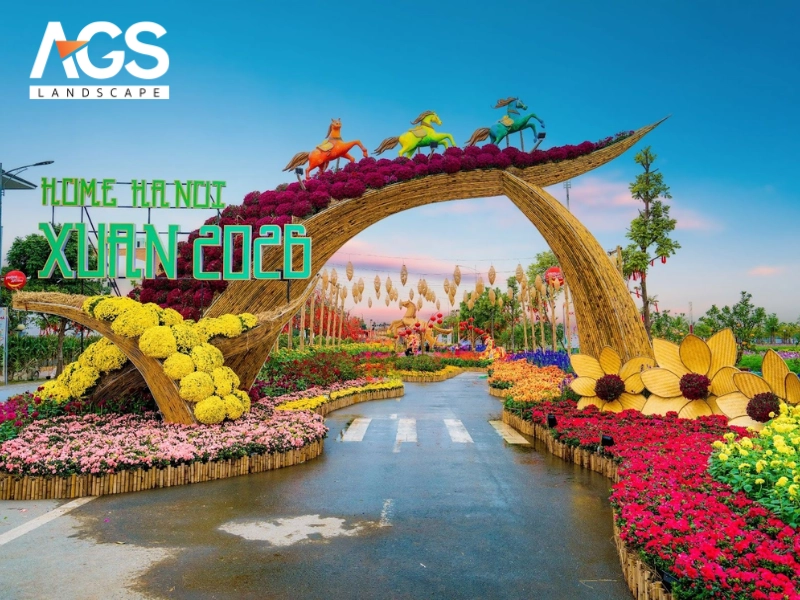 đường hoa Hà Nội 2026 đường hoa Hà Nội 2026