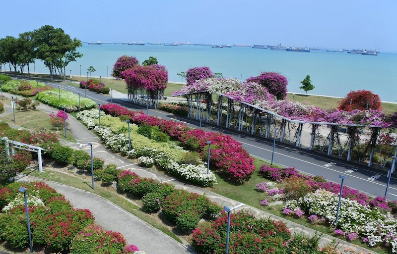 Đường hoa theo chủ đề sắc màu (Nguồn: Yandex)