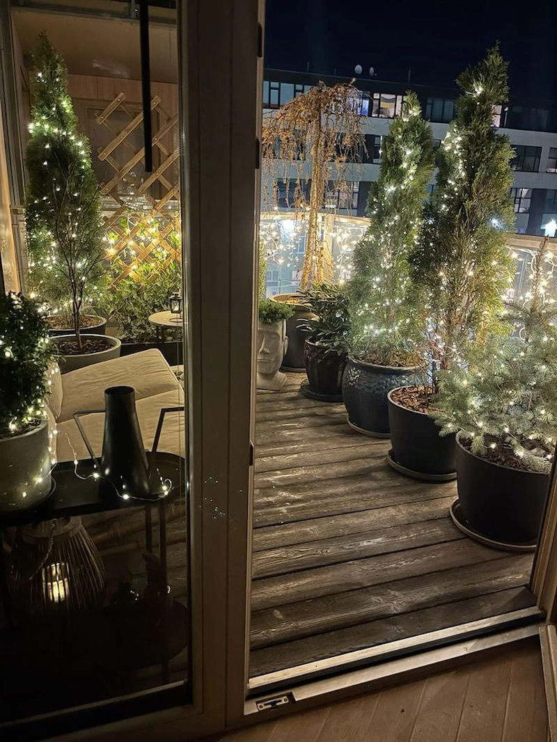 Cây xanh và hoa tươi (Nguồn: Pinterest)