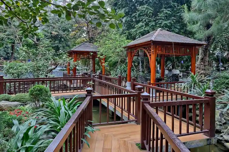 Tận dụng cây mọc tự nhiên nhiều hơn