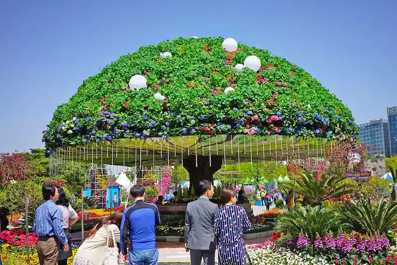 Vai trò của đường hoa trong lễ hội