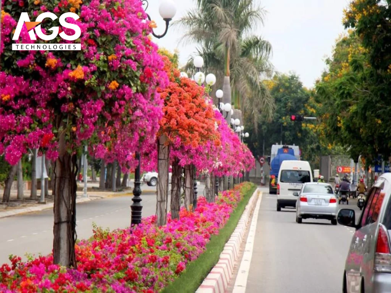 Đường hoa Vũng Tàu