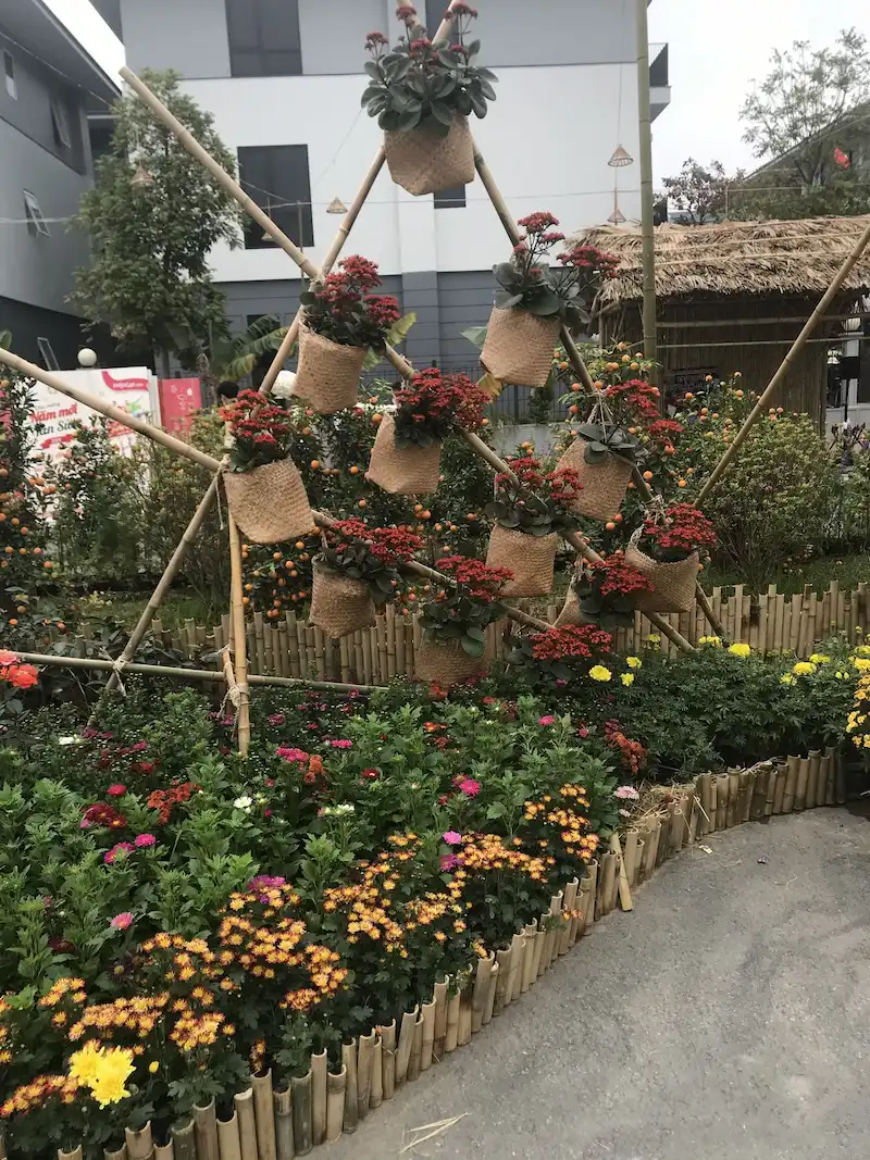 trang trí sân vườn ngày tết