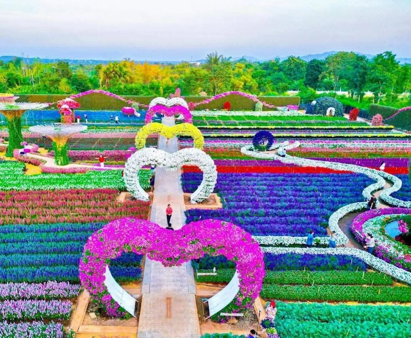 Màu sắc và kết cấu (Nguồn: Pinterest)