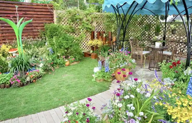 Các loại cây và vật liệu phù hợp cho sân vườn đơn giản