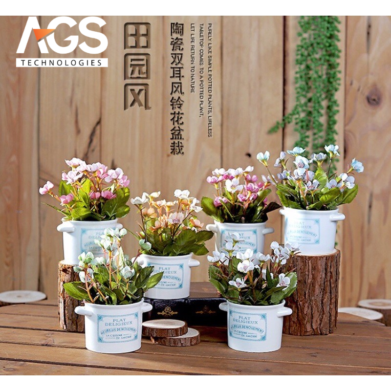 Mô hình hoa mini/để bàn