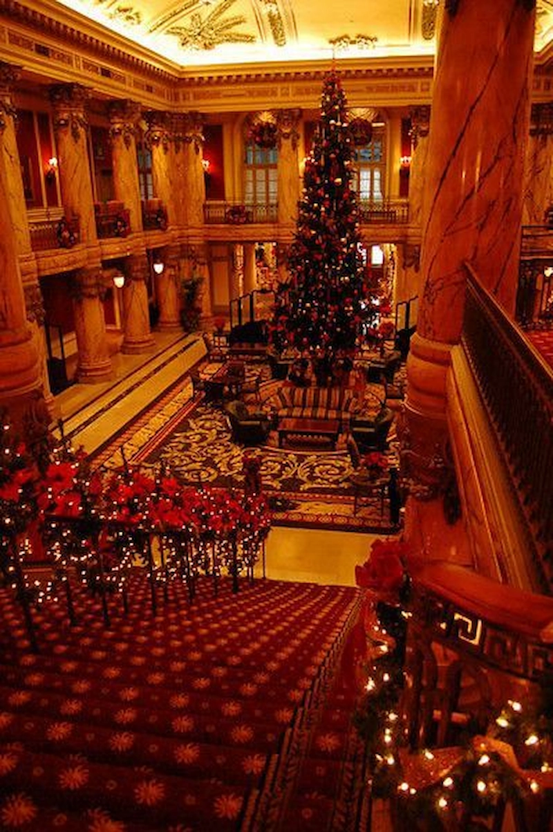 Cây thông Noel trung tâm cao cấp với chủ đề độc đáo (Nguồn: Pinterest) 