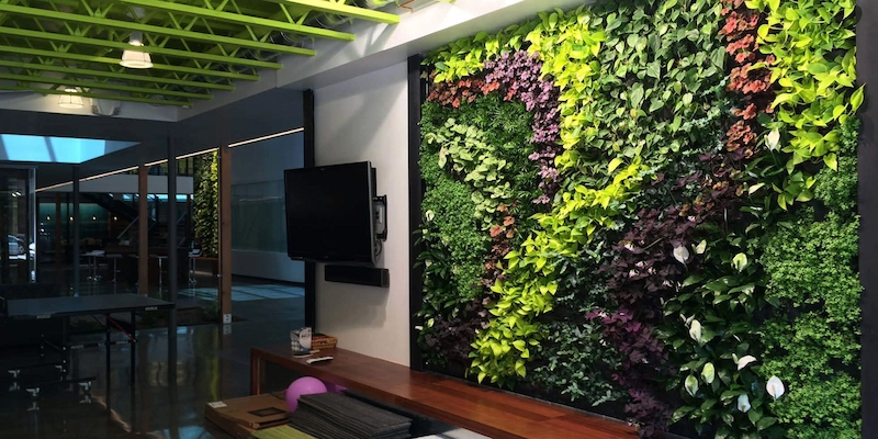 thi công tường cây giả