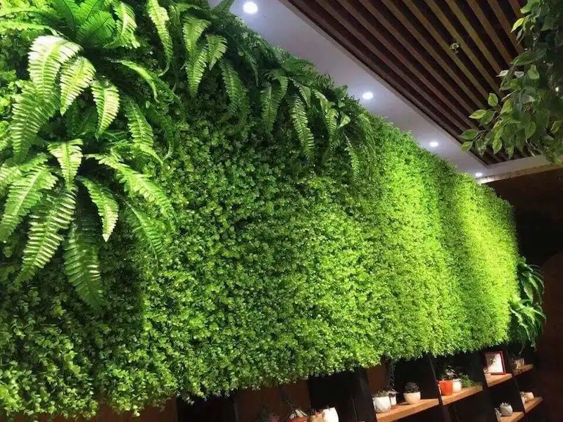 Thiết kế tiểu cảnh tường xanh 