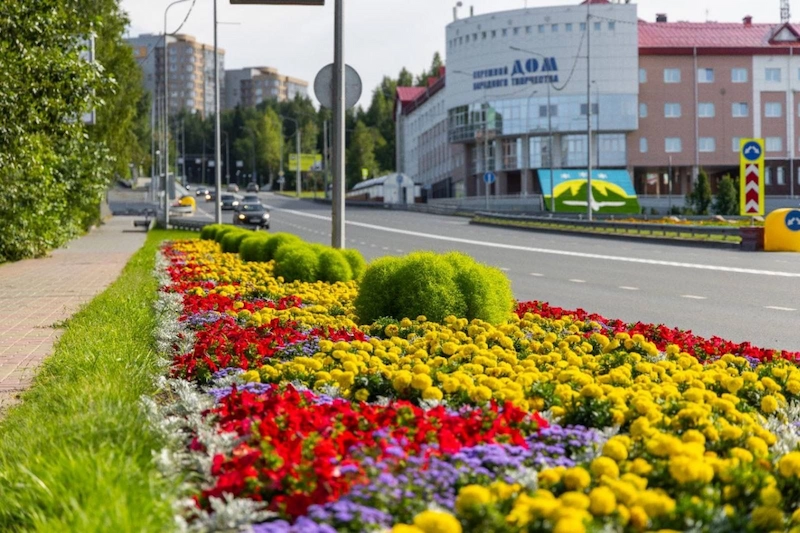 Tìm hiểu những sai lầm trong quy hoạch và lên kế hoạch tổng thể