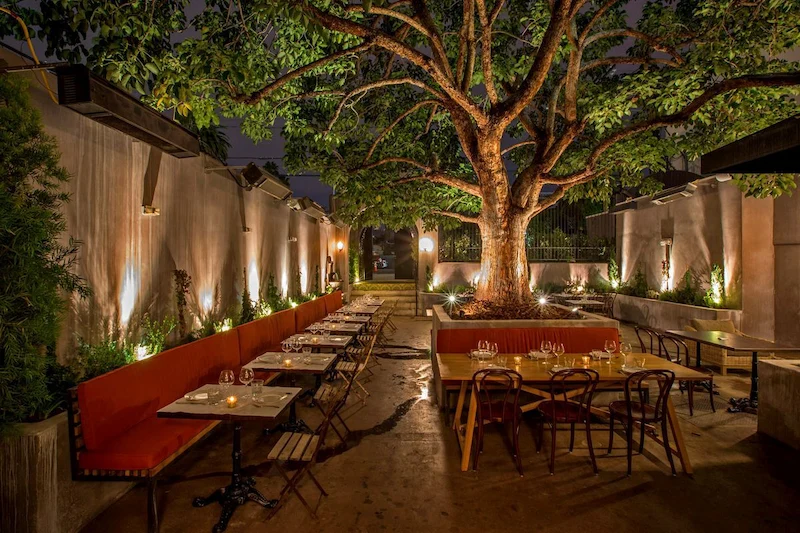 thiết kế quán cafe sân vườn giá rẻ