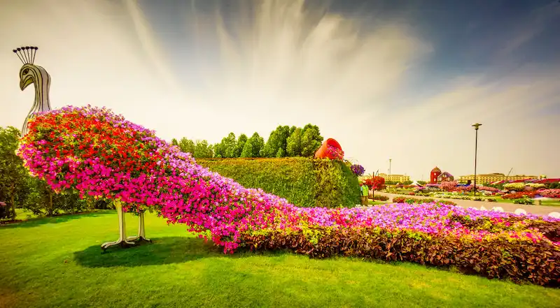 Đường hoa Nghệ thuật Sắp đặt (Nguồn: Yandex)