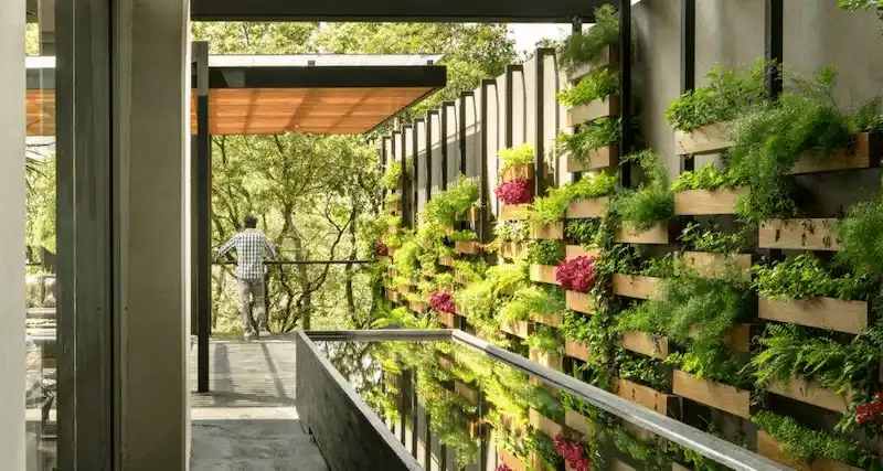Quy trình thi công vườn treo chuẩn kỹ thuật tại AGS Landscape (Nguồn: Pinterest)