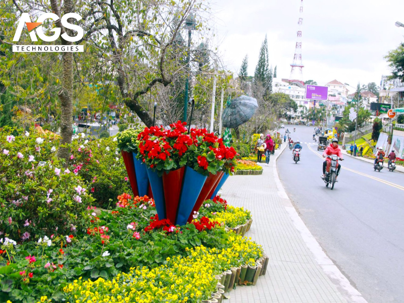 Đường hoa Đà Lạt: Xứ sở ngàn hoa khoe sắc