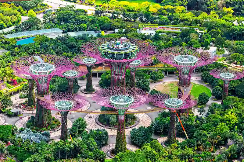 đường hoa công nghệ 4.0 đường hoa công nghệ 4.0