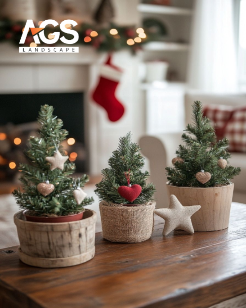 Trang trí bằng cây thông Noel mini (Nguồn: Pinterest) 