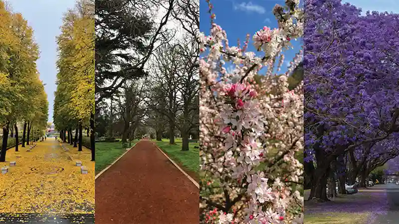 Thiết kế cảnh quan bền vững và theo mùa (Nguồn: Yandex) Thiết kế cảnh quan bền vững và theo mùa (Nguồn: Yandex)