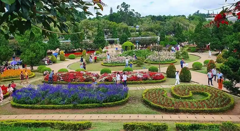 thiết kế đường hoa trong công viên thiết kế đường hoa trong công viên